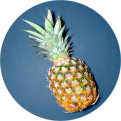 Pineapple Solvers Logo